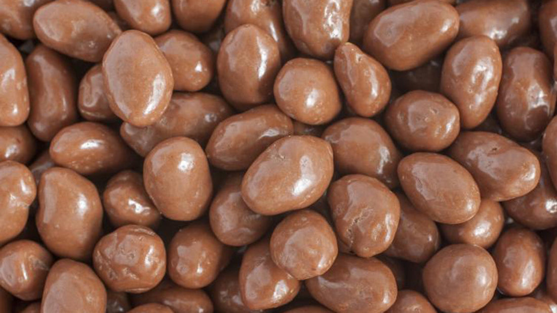 Best Chocolate Covered Raisins