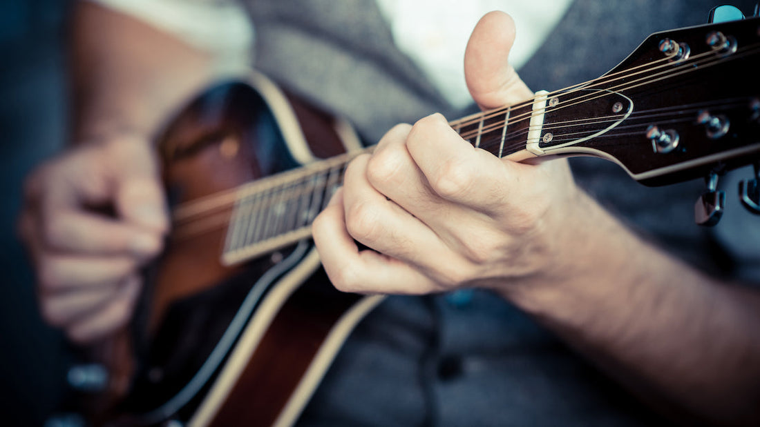 10 Best Mandolin Pickups (Reviews)