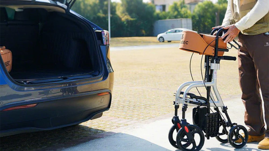 Best Walkers for Seniors With Balance Problems - Grand Goldman
