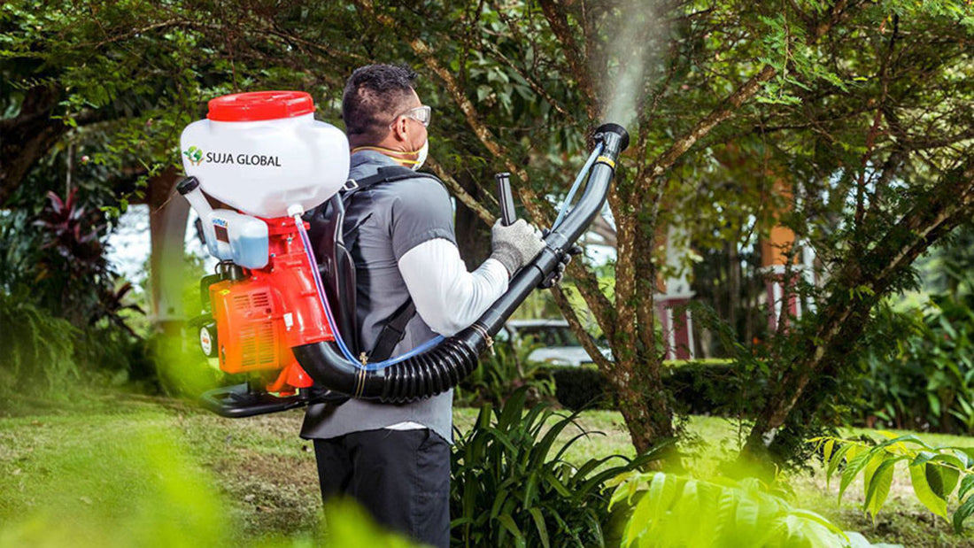 Best Direct Immersion Sprayers 