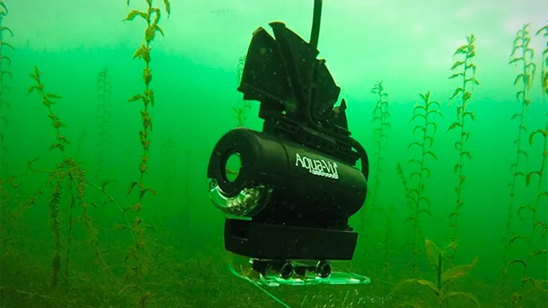 Best Underwater Fishing Camera