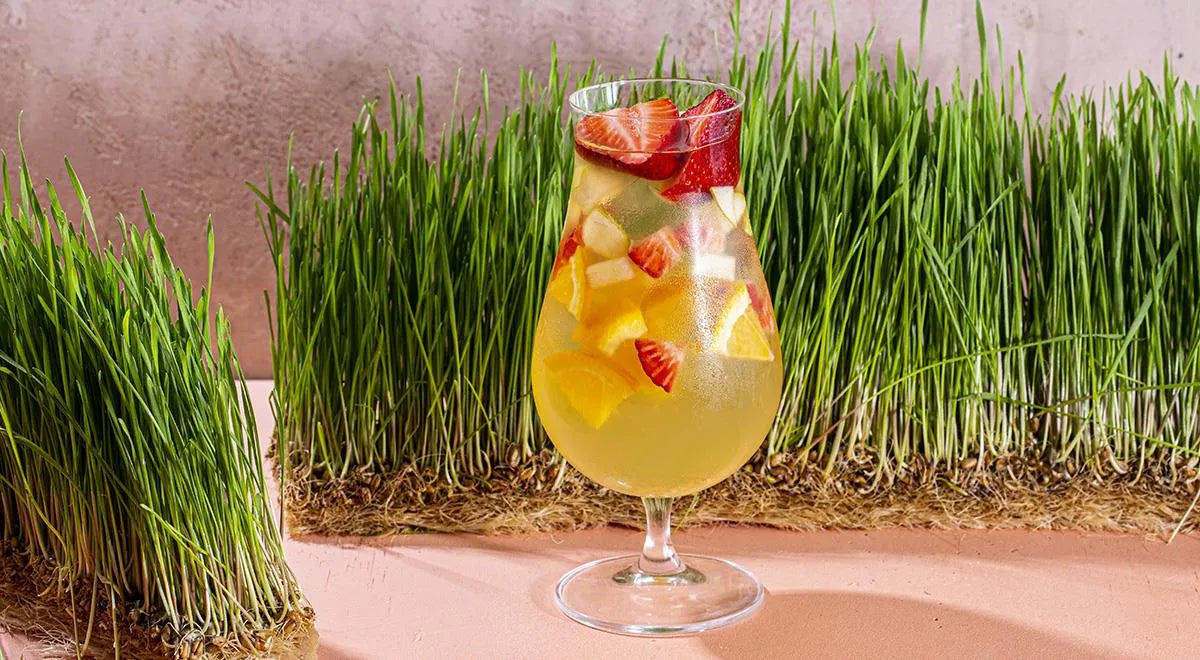 Honey Sangria - wilfosbrand.com