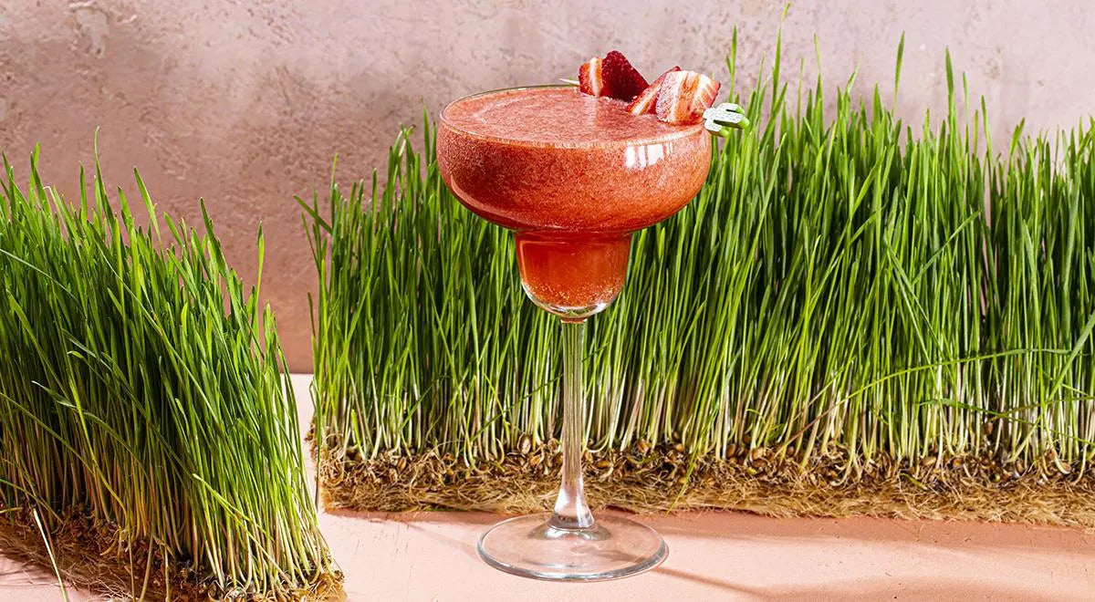 Strawberry Margarita - wilfosbrand.com