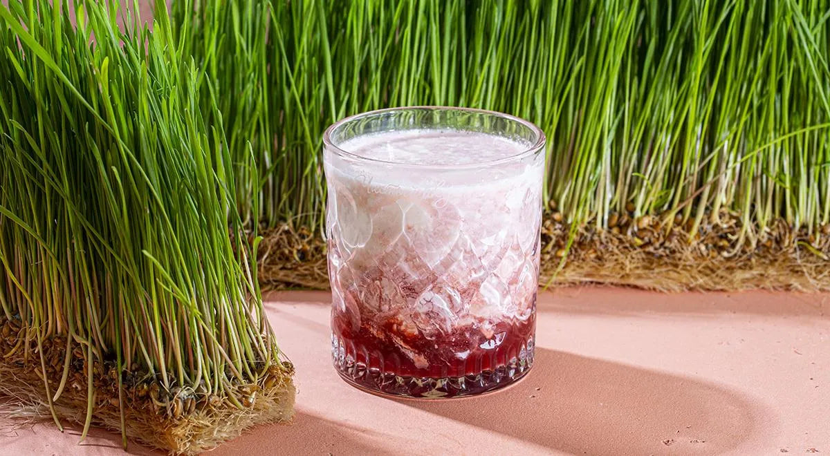 The Strawberry Russian - wilfosbrand.com