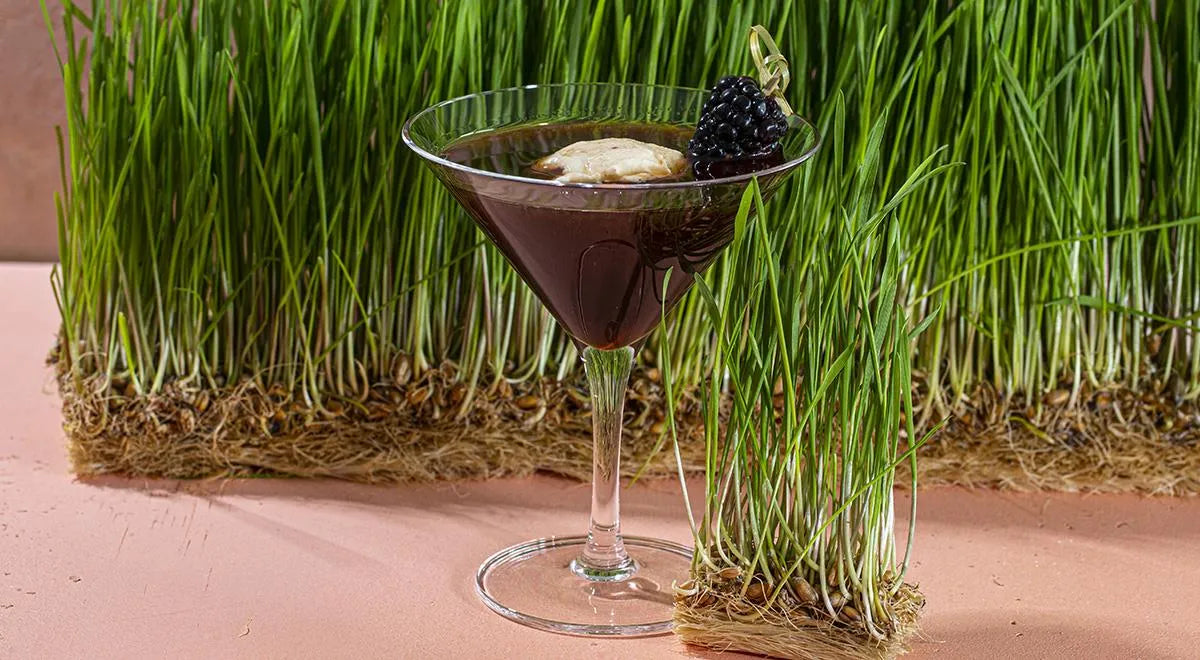 Naomi Craft Cocktail with Fresh Berries and Ice Cream - wilfosbrand.com