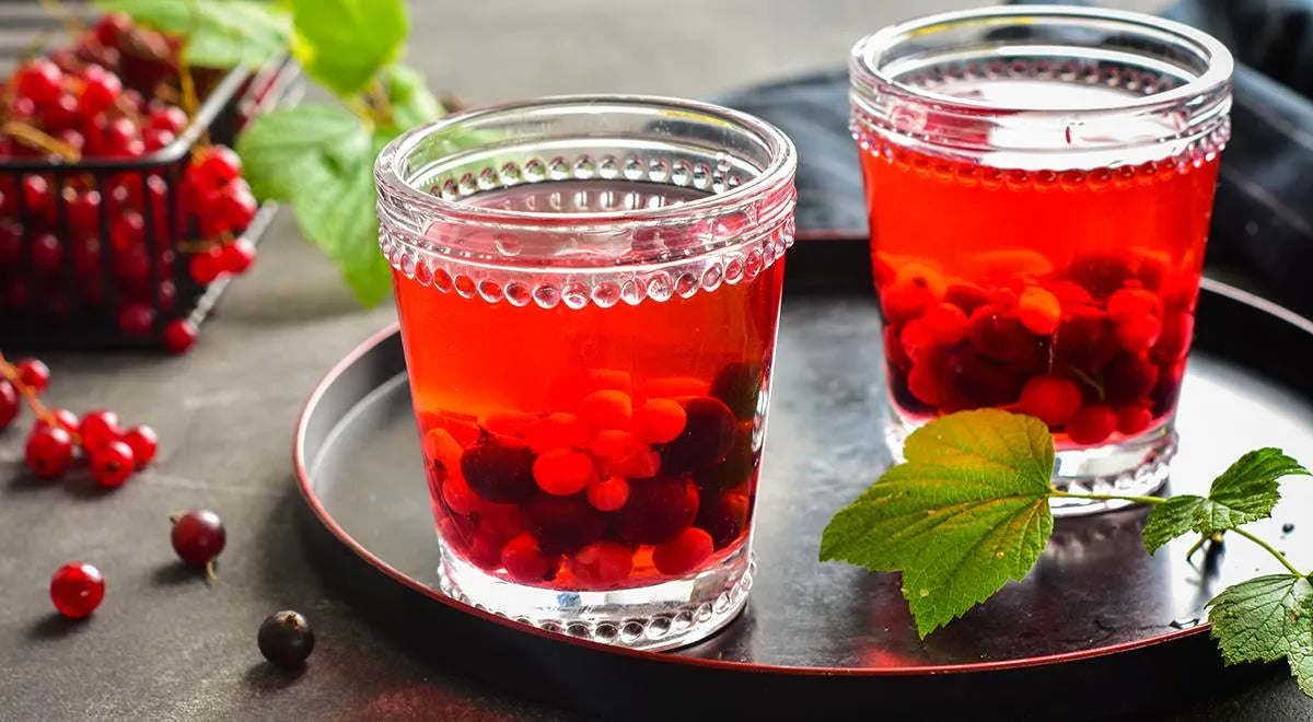 Red and Black Currant Compote - wilfosbrand.com