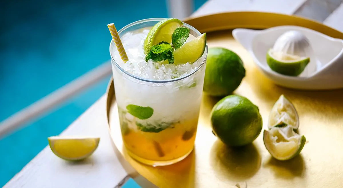 Classic Non-Alcoholic Mojito - wilfosbrand.com