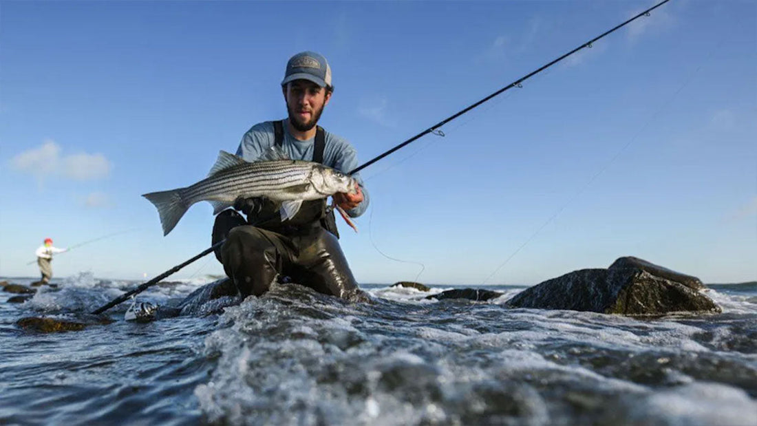 Best Surf Fishing Rods - Grand Goldman