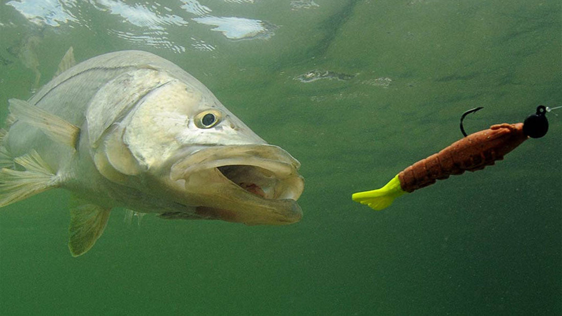 Best Saltwater Fishing Lures - Grand Goldman