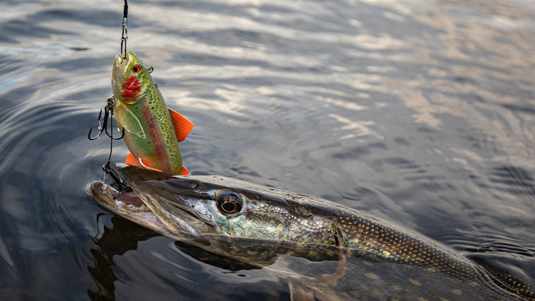  Best Fishing Lures - Grand Goldman