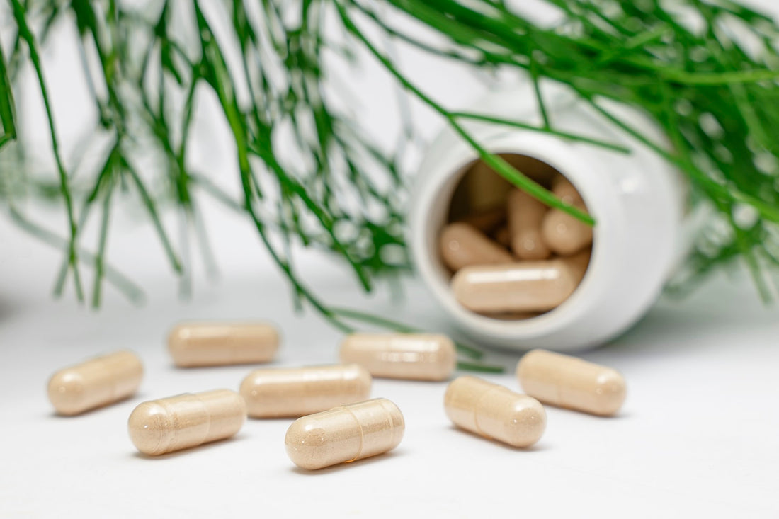 Wake Up Refreshed: The Best Pre-Sleep Supplements for Recovery