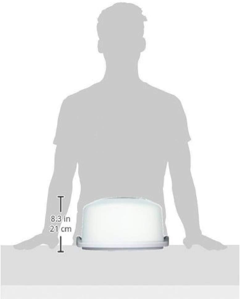Extra Large Cake Storage Container, Cake Carrier With Handle 14 X 14 X 8