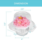 50 Pcs Cupcake Boxes Plastic Individual Cupcake Containers Single Cupcake Carrier with Connected Airtight Dome Lid for Party