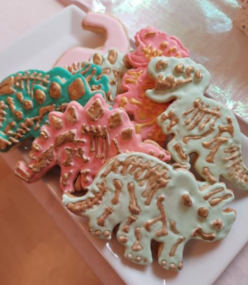 Dinosaur Cookie Cutters for Kids By Garloy,3 Sets Dino Cookie Cutters With T-Rex Stegosaurus Triceratops Skeleton Fossil