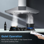 Zomagas 24 Inch Range Hood, Wall Mount Vent Hood in Stainless Steel with Ducted/Ductless Convertible Duct, 3 Speed Exhaust Fan, Energy Saving LED Light, Push Button Control, 2 Pcs Baffle Filters