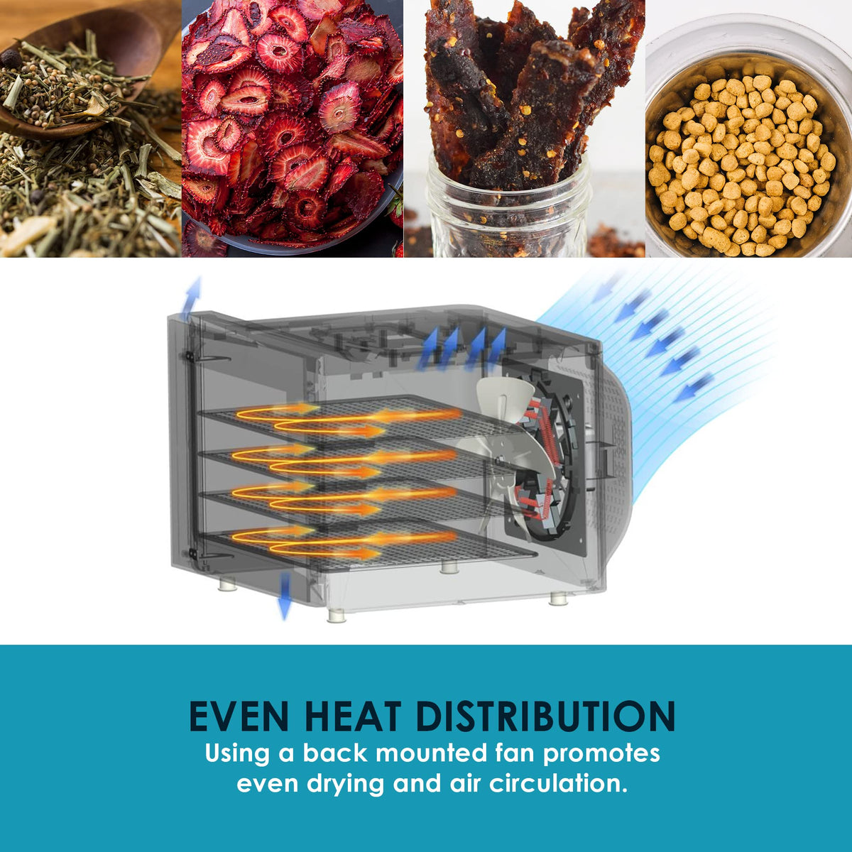 Elite Gourmet Food Dehydrator, Stainless Steel Trays Food Dehydrator, Adjustable Temperature Controls, Jerky Herbs Fruit Veggies Snacks
