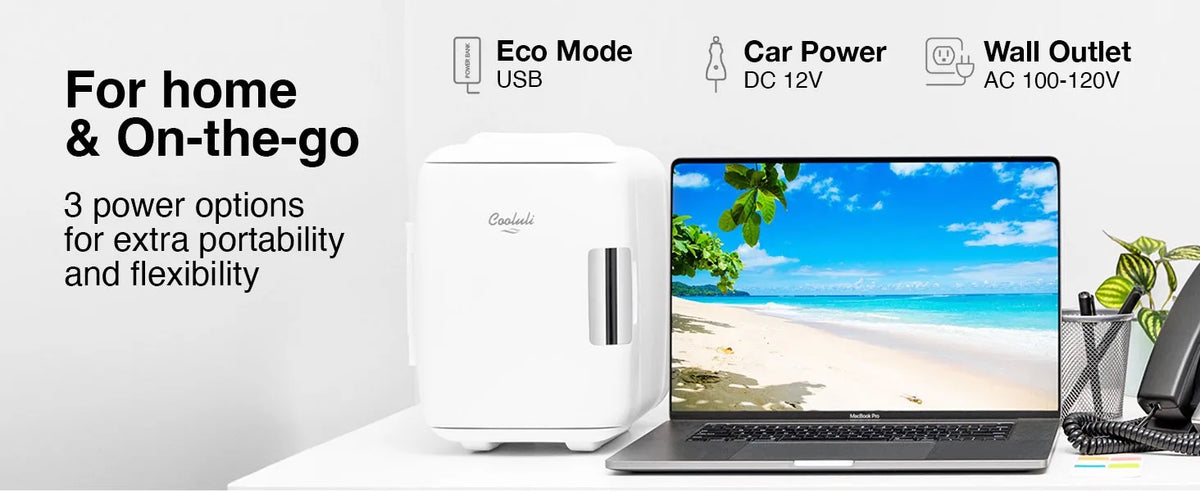 Mini Fridge for Bedroom - Car, Office Desk & Dorm Room, Portable 4L/6 Can Electric Plug in Cooler & Warmer, Small refrigerator